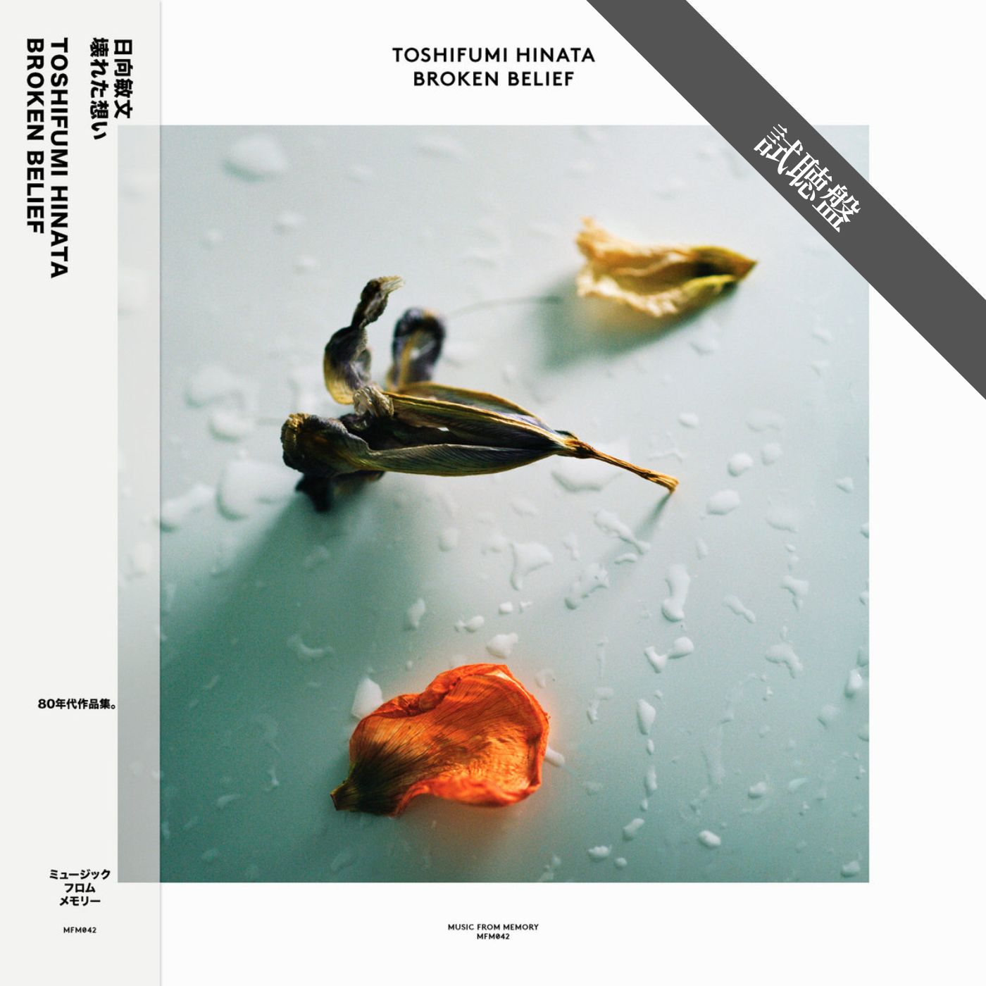 Toshifumi Hinata / Broken Belief
