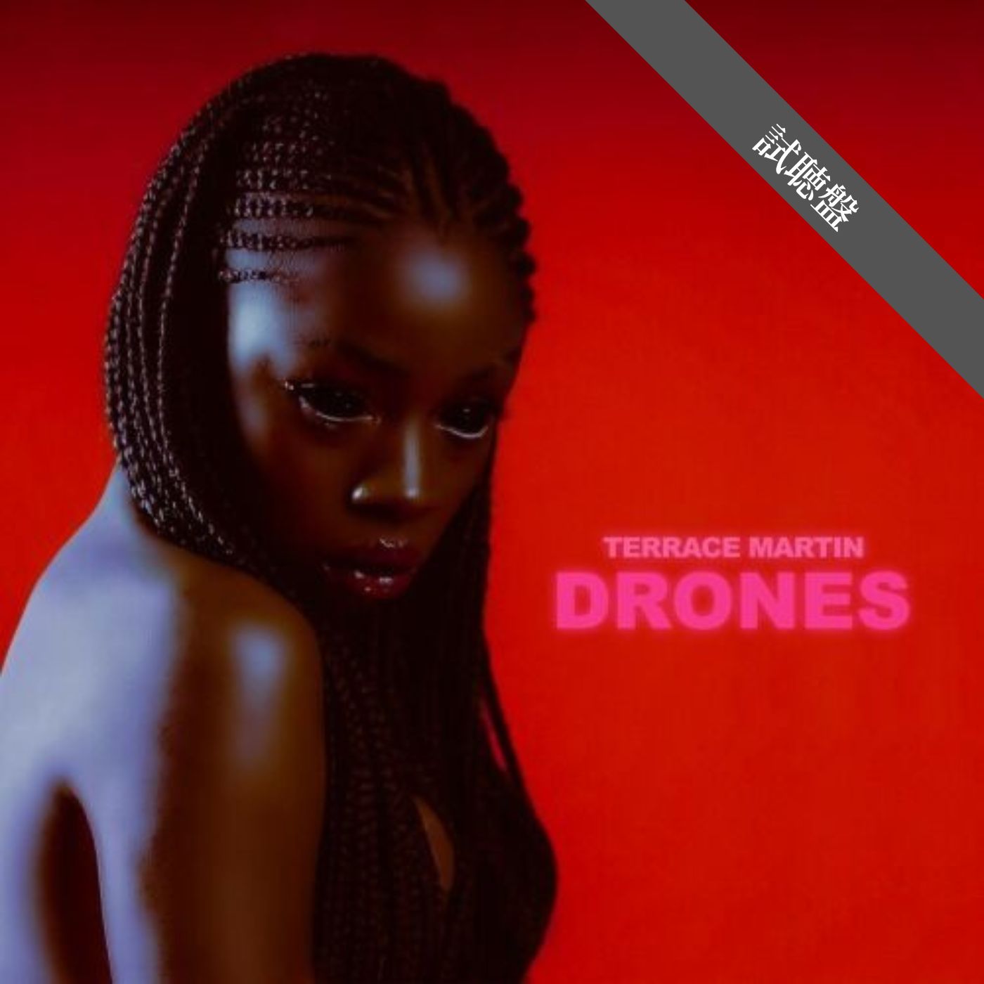Terrace Martin / Drones