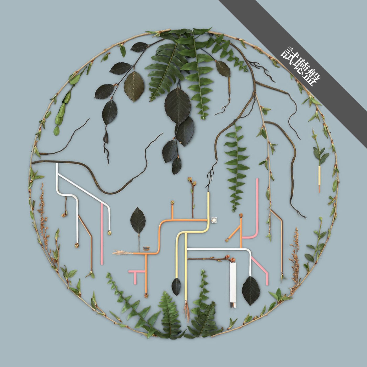 El Búho / Tributaries Vol. 2
