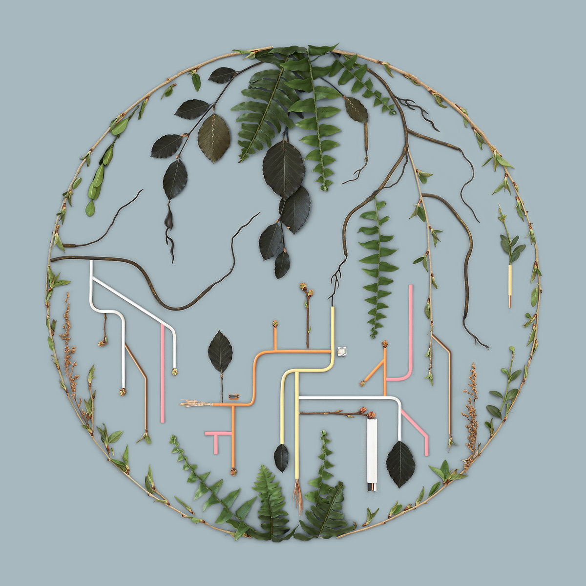 El Búho / Tributaries Vol. 2