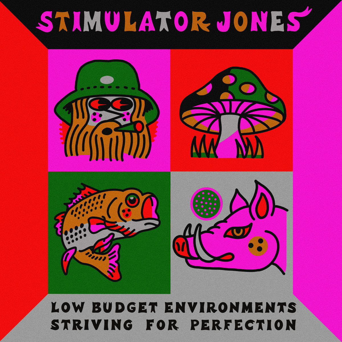 Stimulator Jones /  Low Budget Environments Striving For Perfection